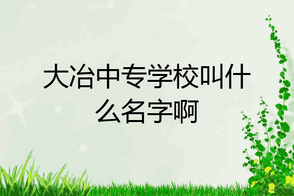 大冶中专学校叫什么名字啊