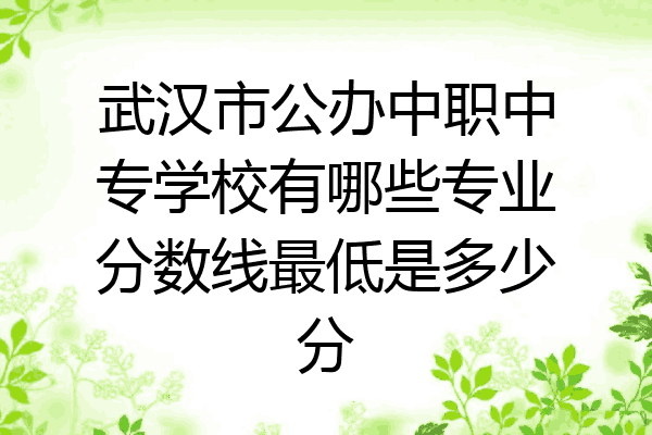 武汉市公办中职中专学校有哪些专业分数线最低是多少分