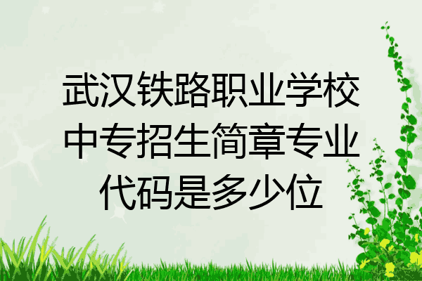 武汉铁路职业学校中专招生简章专业代码是多少位