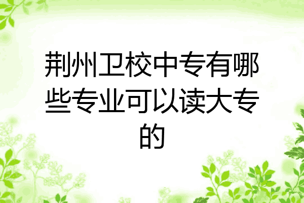 荆州卫校中专有哪些专业可以读大专的