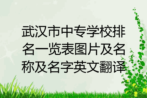 武汉市中专学校排名一览表图片及名称及名字英文翻译