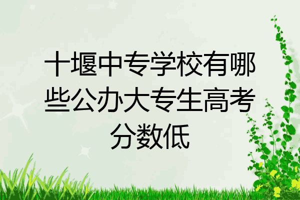 十堰中专学校有哪些公办大专生高考分数低