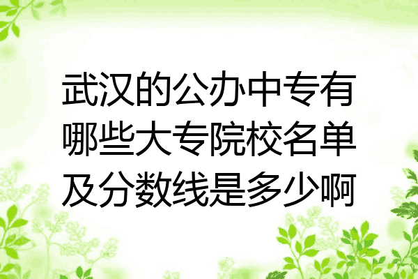 武汉的公办中专有哪些大专院校名单及分数线是多少啊