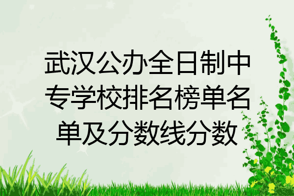 武汉公办全日制中专学校排名榜单名单及分数线分数