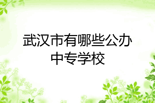 武汉市有哪些公办中专学校