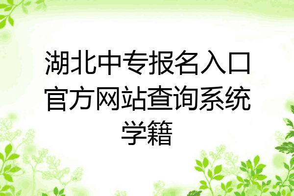 湖北中专报名入口官方网站查询系统学籍