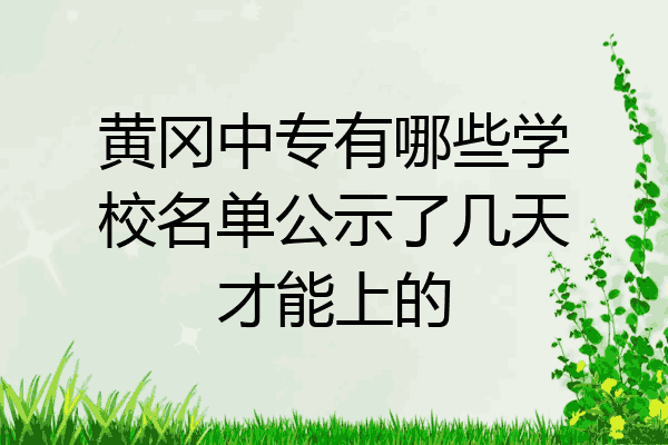 黄冈中专有哪些学校名单公示了几天才能上的