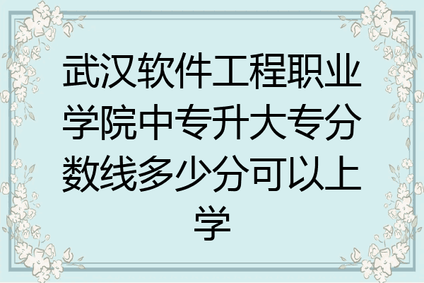 武汉软件工程职业学院中专升大专分数线多少分可以上学