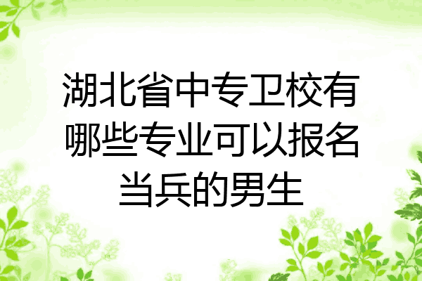 湖北省中专卫校有哪些专业可以报名当兵的男生