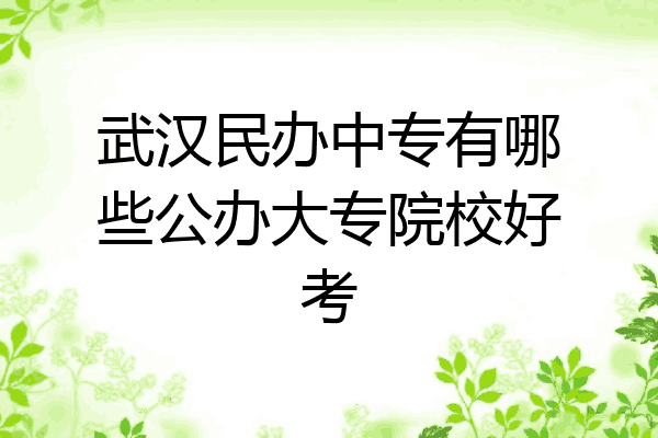 武汉民办中专有哪些公办大专院校好考