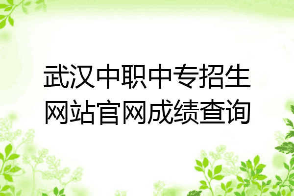 武汉中职中专招生网站官网成绩查询