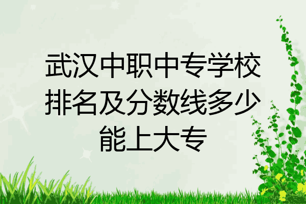 武汉中职中专学校排名及分数线多少能上大专