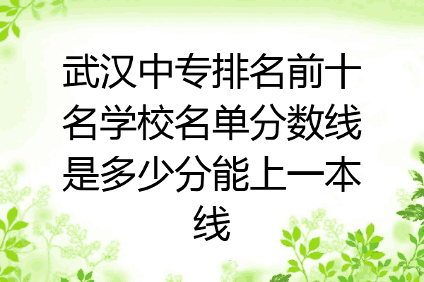 武汉中专排名前十名学校名单分数线是多少分能上一本线