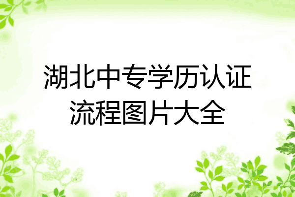 湖北中专学历认证流程图片大全