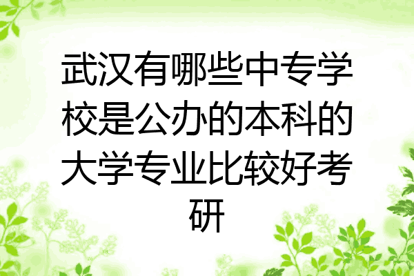 武汉有哪些中专学校是公办的本科的大学专业比较好考研