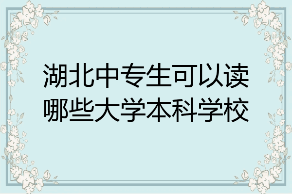 湖北中专生可以读哪些大学本科学校