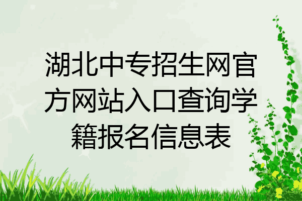 湖北中专招生网官方网站入口查询学籍报名信息表