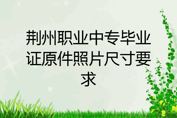 荆州职业中专毕业证原件照片尺寸要求
