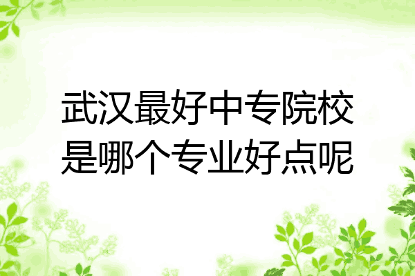 武汉最好中专院校是哪个专业好点呢