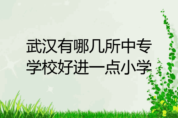 武汉有哪几所中专学校好进一点小学