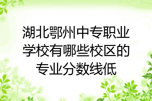 湖北鄂州中专职业学校有哪些校区的专业分数线低