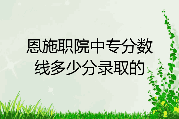恩施职院中专分数线多少分录取的
