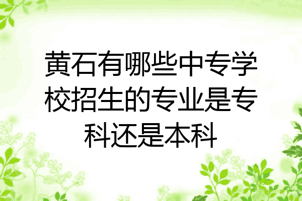 黄石有哪些中专学校招生的专业是专科还是本科
