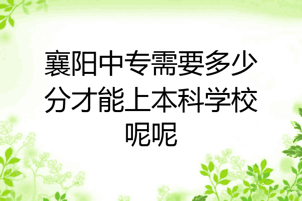 襄阳中专需要多少分才能上本科学校呢呢