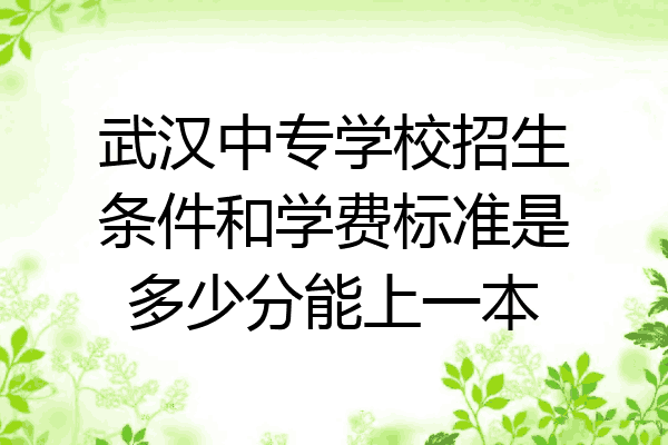 武汉中专学校招生条件和学费标准是多少分能上一本