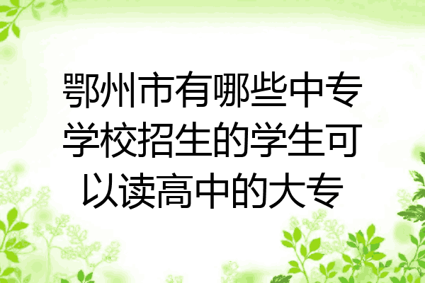 鄂州市有哪些中专学校招生的学生可以读高中的大专