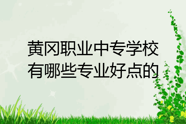 黄冈职业中专学校有哪些专业好点的