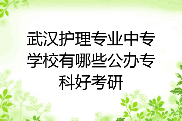 武汉护理专业中专学校有哪些公办专科好考研
