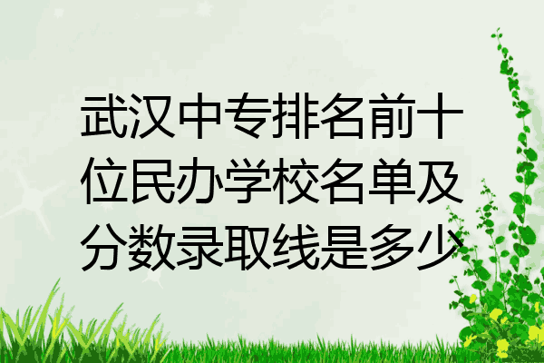 武汉中专排名前十位民办学校名单及分数录取线是多少
