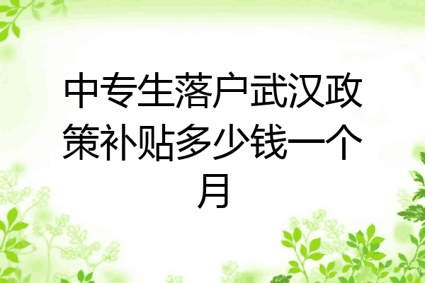 中专生落户武汉政策补贴多少钱一个月