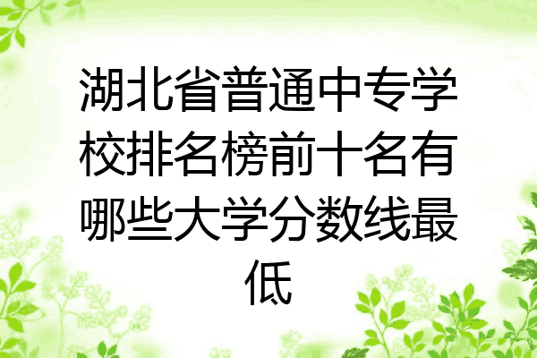 湖北省普通中专学校排名榜前十名有哪些大学分数线最低