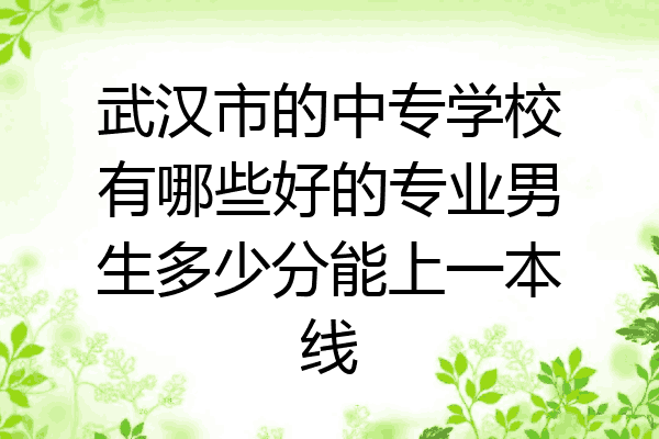 武汉市的中专学校有哪些好的专业男生多少分能上一本线