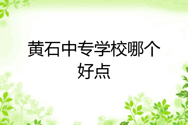 黄石中专学校哪个好点