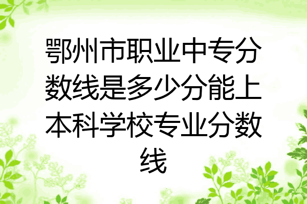鄂州市职业中专分数线是多少分能上本科学校专业分数线