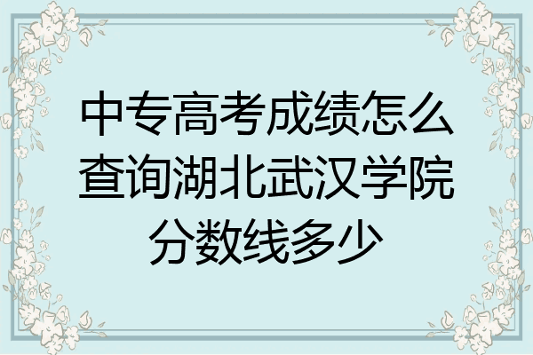 中专高考成绩怎么查询湖北武汉学院分数线多少