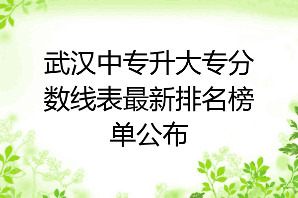 武汉中专升大专分数线表最新排名榜单公布