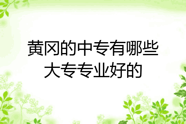 黄冈的中专有哪些大专专业好的