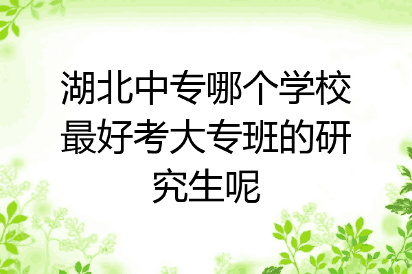 湖北中专哪个学校最好考大专班的研究生呢