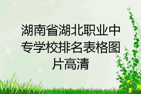 湖南省湖北职业中专学校排名表格图片高清