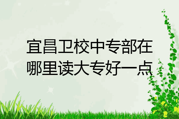 宜昌卫校中专部在哪里读大专好一点
