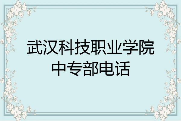 武汉科技职业学院中专部电话