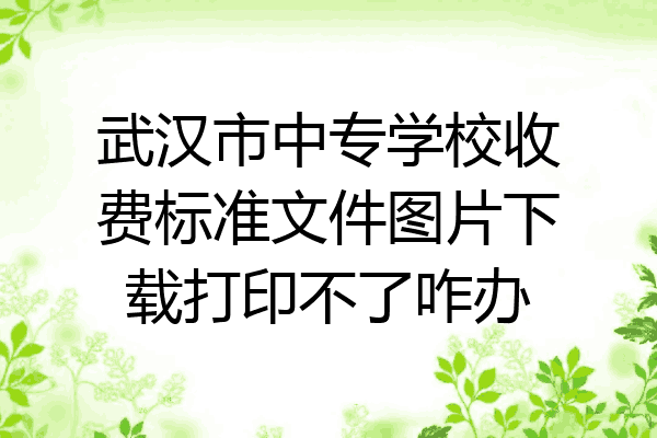武汉市中专学校收费标准文件图片下载打印不了咋办