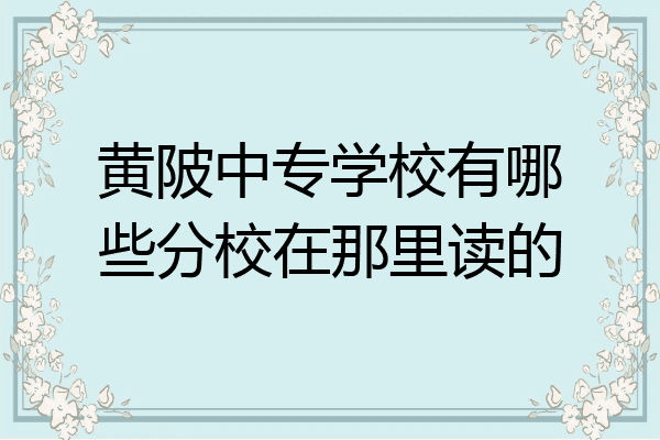 黄陂中专学校有哪些分校在那里读的