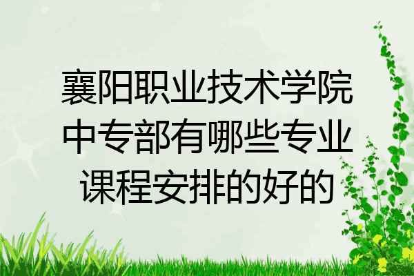 襄阳职业技术学院中专部有哪些专业课程安排的好的