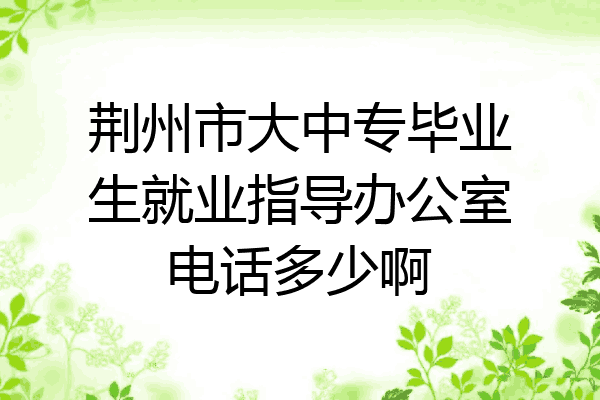 荆州市大中专毕业生就业指导办公室电话多少啊