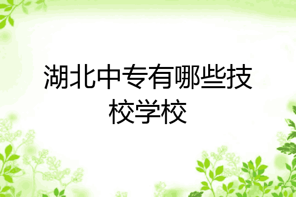 湖北中专有哪些技校学校